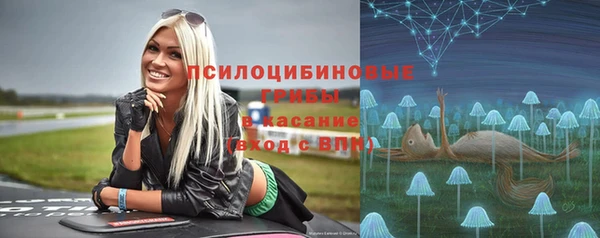 мдпв Елабуга